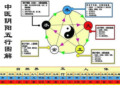 加拿大五行属什么|加拿大五行属什么属性的留学生